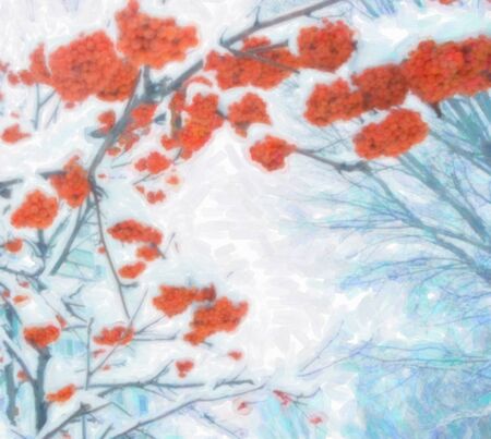 winter red rowan berries and tree branches watercolor illustration backgroundの写真素材