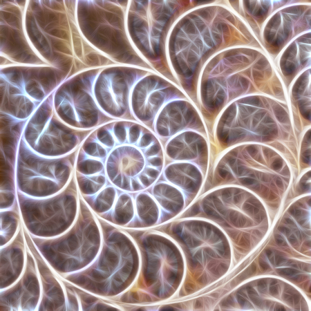 ammonite shell form fractal abstract background illustrationの写真素材