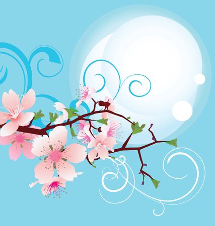 pink sakura flowers blue sky and moonの写真素材