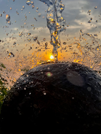 Water splashing from a black coconut with the sun in the backgroundの写真素材