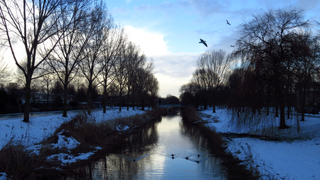 Snow Covered Winter Landscape with Canal, Trees and Birdsの写真素材