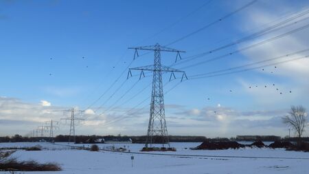 Winter Landscape with Birds Flying Around Transmission Towersの写真素材