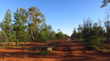 Dirt Road in the Australian Outbackの写真素材