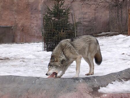 Dinner interruption          