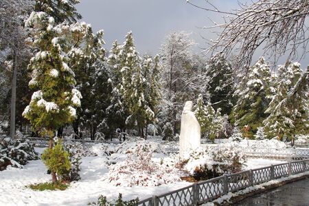 Winter came to townの写真素材