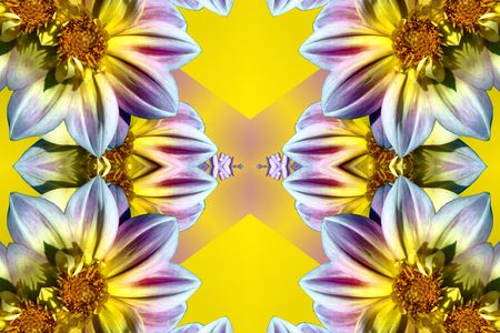 Flowersの写真素材