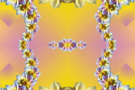 Flowersの写真素材