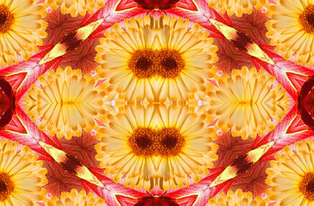 Flowersの写真素材