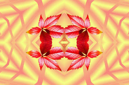 Flowersの写真素材