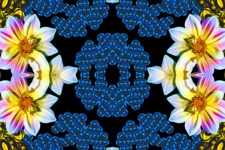 Flowersの写真素材