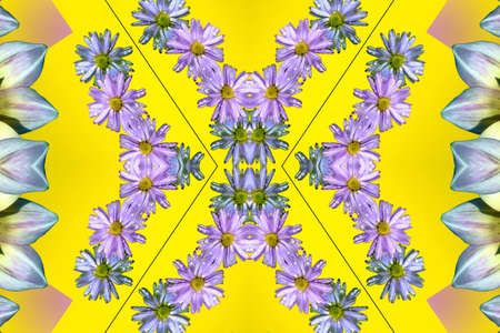 Flowersの写真素材