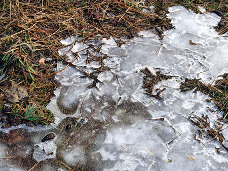 Soon the springの写真素材