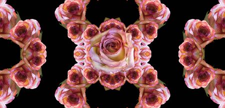 Collage of rosesの写真素材