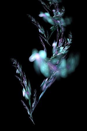 Plantの写真素材