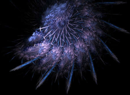 Ammonite