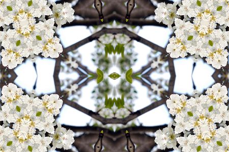 Collage on the theme of springの写真素材