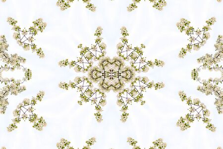 Collage on the theme of springの写真素材