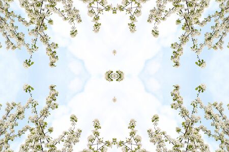 Collage on the theme of springの写真素材