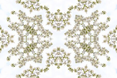 Collage on the theme of spring