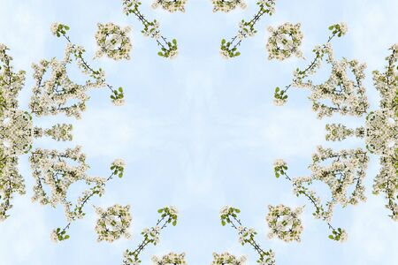 Collage on the theme of springの写真素材