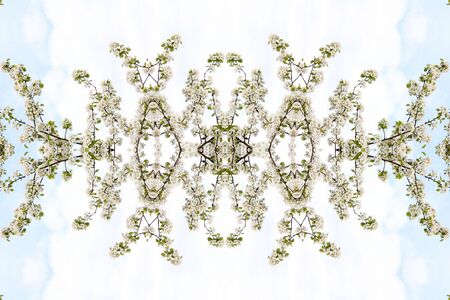 Collage on the theme of springの写真素材