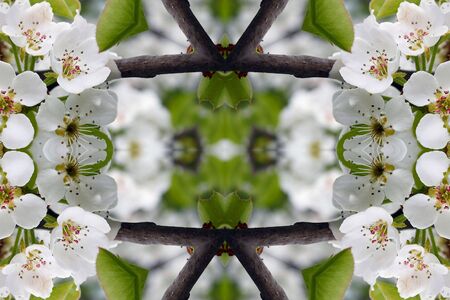 Collage on the theme of springの写真素材