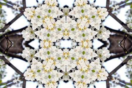 Collage on the theme of springの写真素材