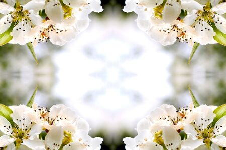 Collage on the theme of springの写真素材