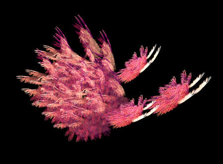 Chicken of the tobaccoの写真素材