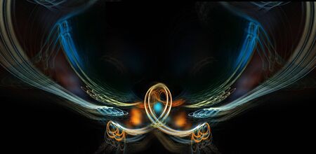 Bird の写真素材