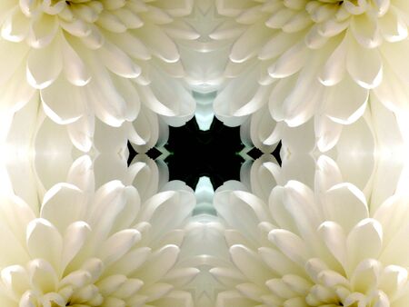 Pattern from the petals of flower