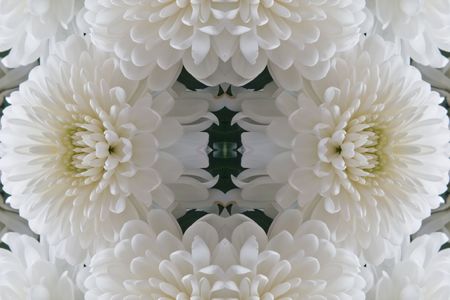 Pattern from the petals of flowerの写真素材
