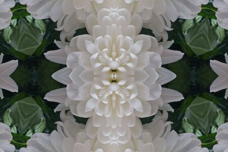 Pattern from the petals of flowerの写真素材