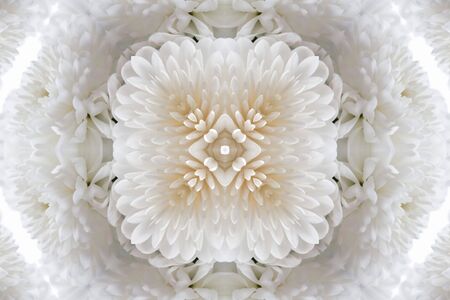 Pattern from the petals of flower