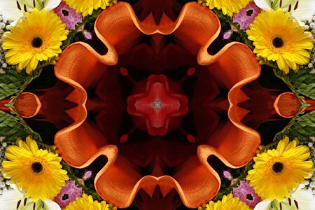 Pattern from the petals of flowerの写真素材