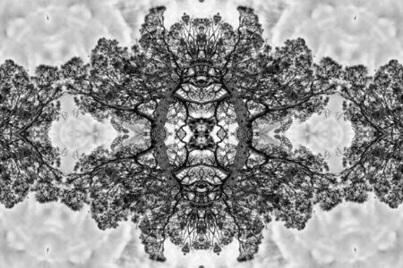 Kaleidoscope の写真素材