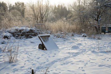 Winter gardenの写真素材