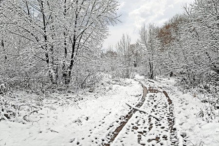 Slushの写真素材