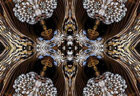 Fractal 3D