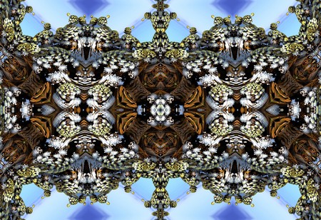 Fractal 3D
