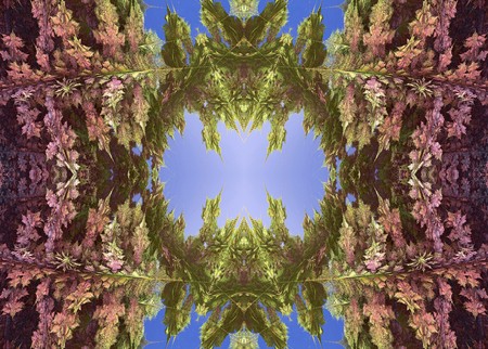 Fractal 3Dの写真素材
