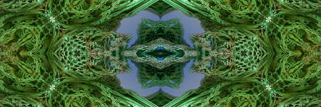 Fractal