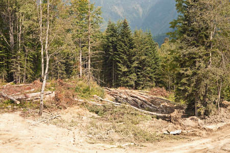 Ffellingの写真素材