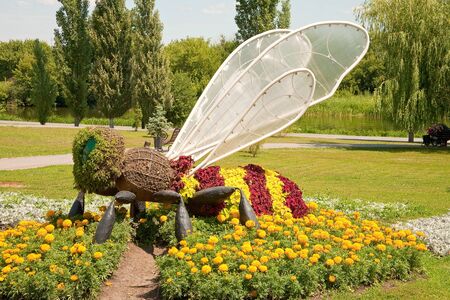 Wasp on a flowerbedのeditorial素材