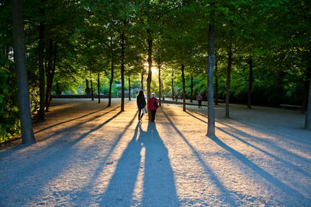 Sanssouci, park, eveningの写真素材