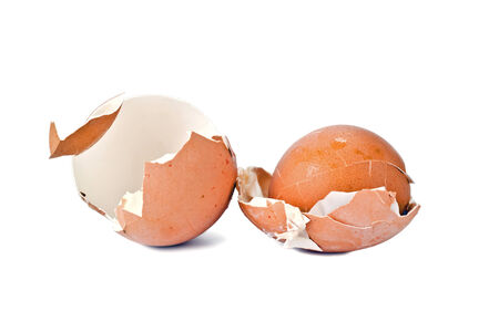 Empty shell of the eaten boiled eggs it is isolated on a white background