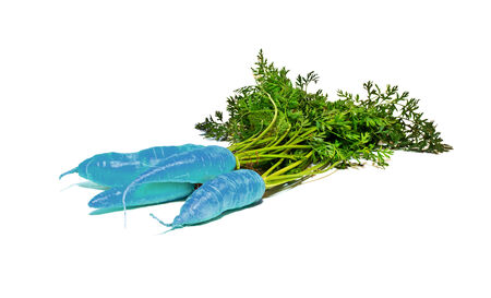 Icy carrot  it is isolated on a white backgroundの写真素材