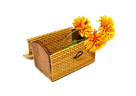 Flowering plant chrysanthemum in a decorative small box.の写真素材