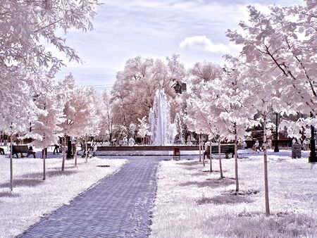 REUTOV. RUSSIA - June 25.2014: Alley in the city park. Infrared photographyのeditorial素材