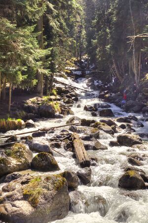 Fast mountain river Murundzhu near the village of Dombayの写真素材
